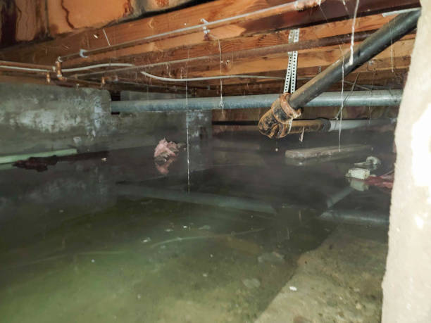 Best 24-hour water damage restoration  in Tempe, AZ