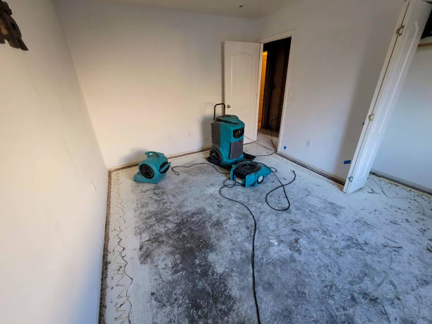 Best Residential water damage restoration  in Tempe, AZ