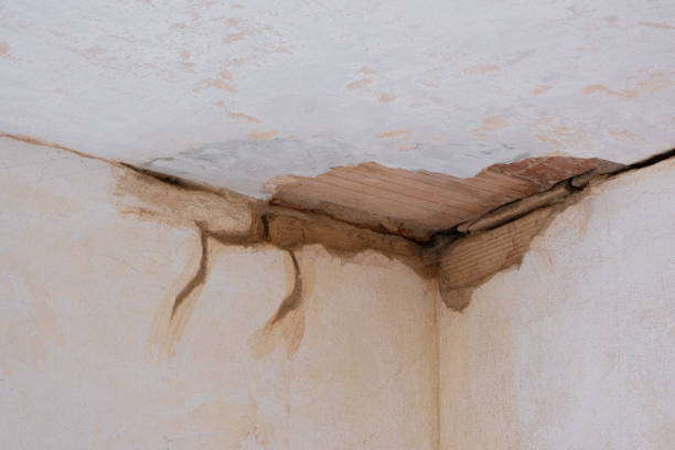 Best Ceiling water damage repair  in Tempe, AZ
