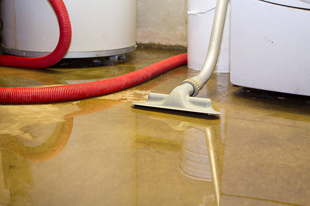 Best Water damage restoration insurance claims  in Tempe, AZ