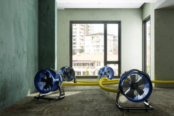 Best 24/7 water damage repair  in Tempe, AZ