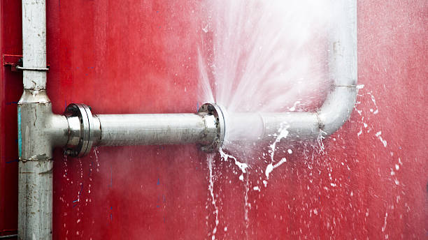 Best Water damage cleanup near me  in Tempe, AZ