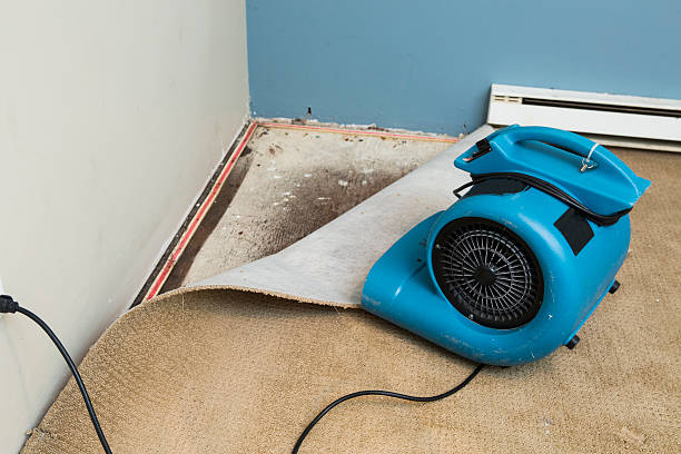 Best Emergency water damage restoration  in Tempe, AZ
